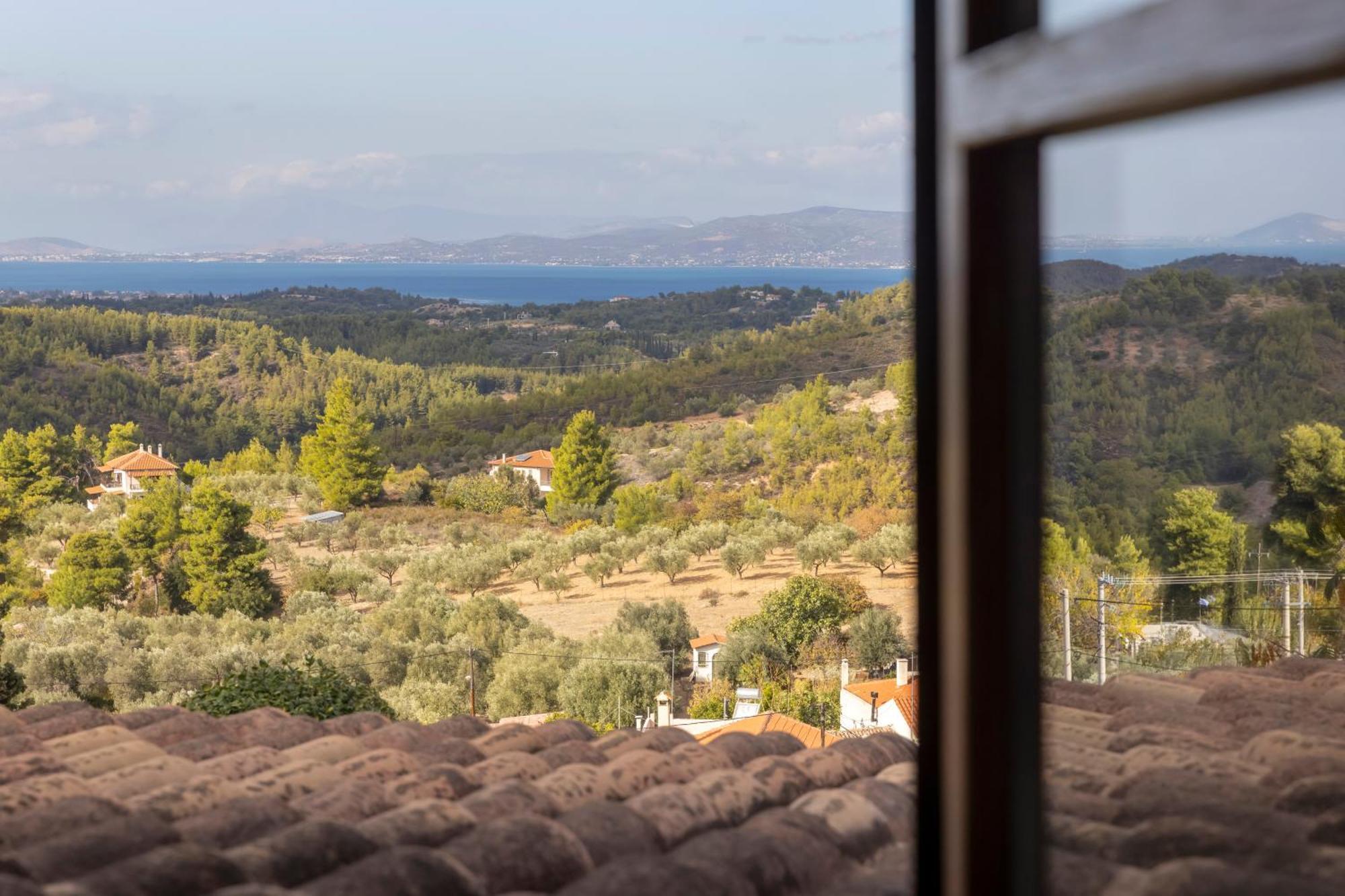Villa Marrone Splendid Seaview Markopoulon Oropou المظهر الخارجي الصورة